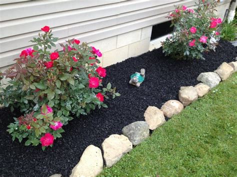 Can I Plant Flowers in Mulch: Exploring the Unlikely Connection Between Mulch and Moonlight