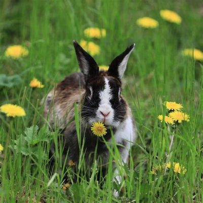 Can Rabbits Eat Flowers? Exploring the Floral Diets of Bunnies and Beyond