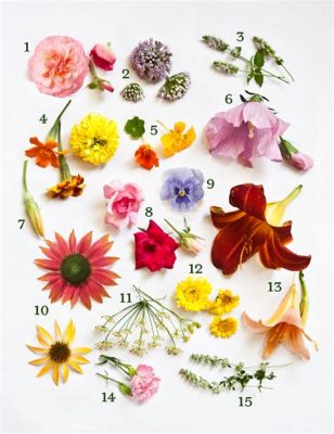 Edible Flowers Where to Buy: A Floral Journey Through Culinary Delights