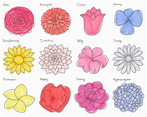 How to Doodle Flowers: Exploring the Art of Blossoms and Beyond