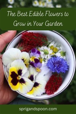 How to Grow Edible Flowers: A Comprehensive Guide and the Curious Case of Moonlit Gardening