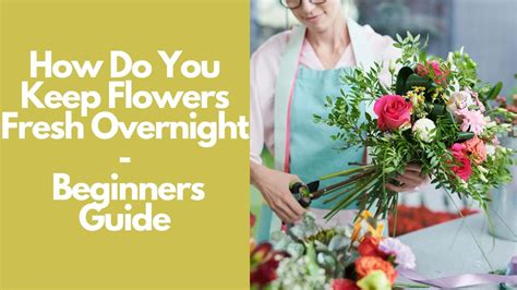 How to Keep Flowers Fresh Overnight Without Fridge: A Journey Through Time and Space