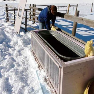 How to Keep Livestock Water from Freezing: A Comprehensive Guide and the Curious Case of Ice Sculptures in the Barn