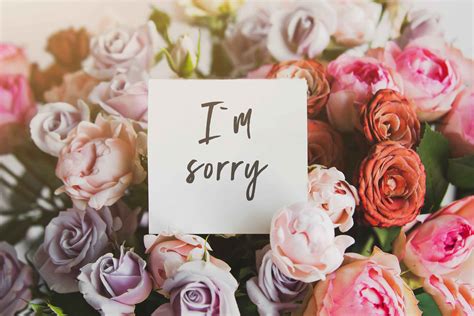 What Flowers Say I'm Sorry: A Symphony of Petals and Regret