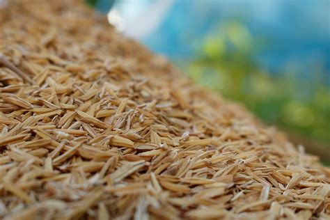 Where to Buy Rice Hulls for Gardening: A Comprehensive Guide to Sourcing and Utilizing This Versatile Material